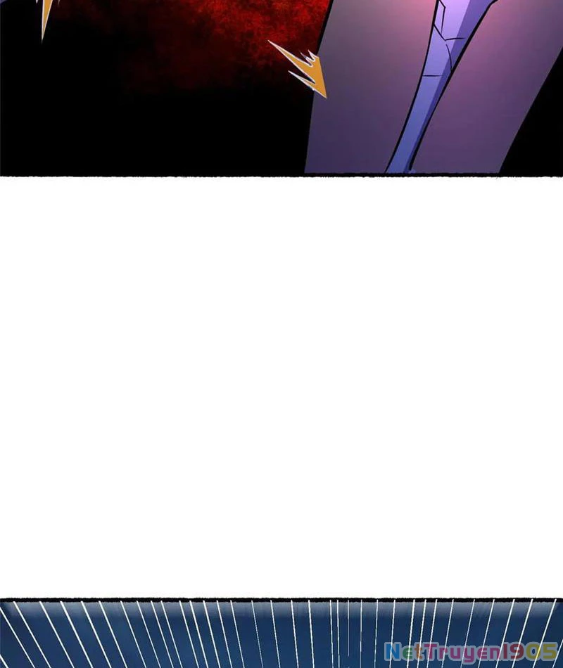 Đô Thị Cực Phẩm Y Thần Chapter 266 - Trang 2