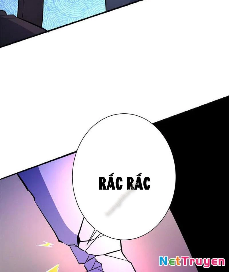 Đô Thị Cực Phẩm Y Thần Chapter 266 - Trang 2