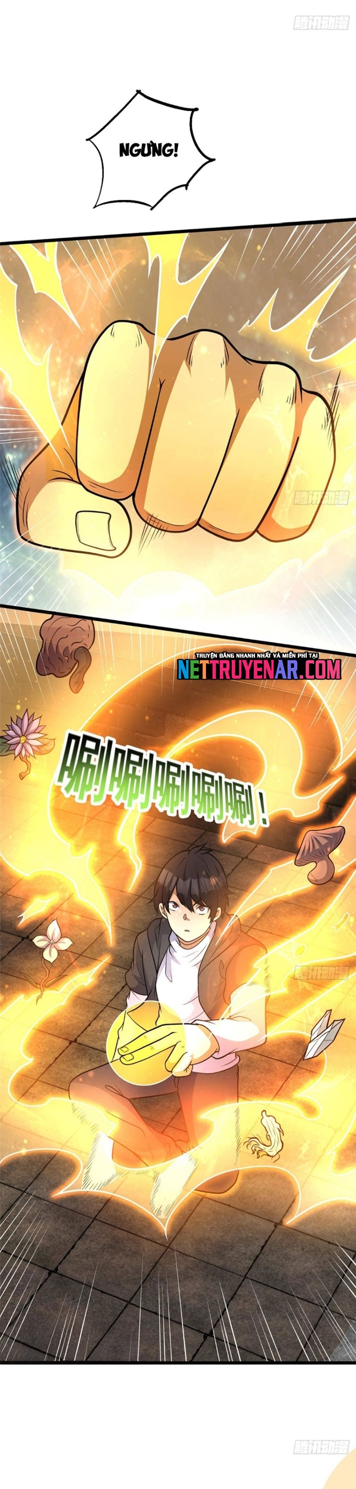Đô Thị Cực Phẩm Y Thần Chapter 290 - Trang 2