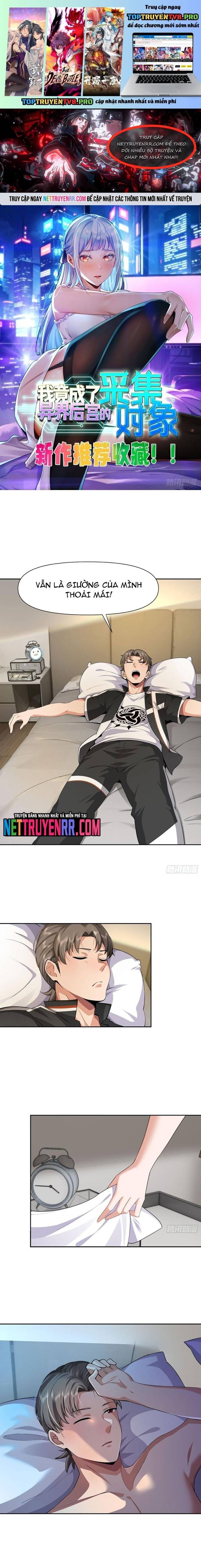 Tôi Trở Thành Đối Tượng Thu Thập Của Hậu Cung Dị Giới Chapter 118 - Trang 2