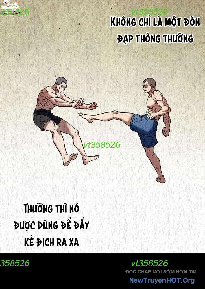 Lão Đại Trung Niên Không Danh Chapter 8 - Trang 2