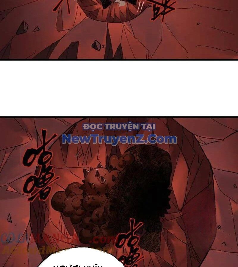 Truyền Võ Chapter 468 - Trang 2