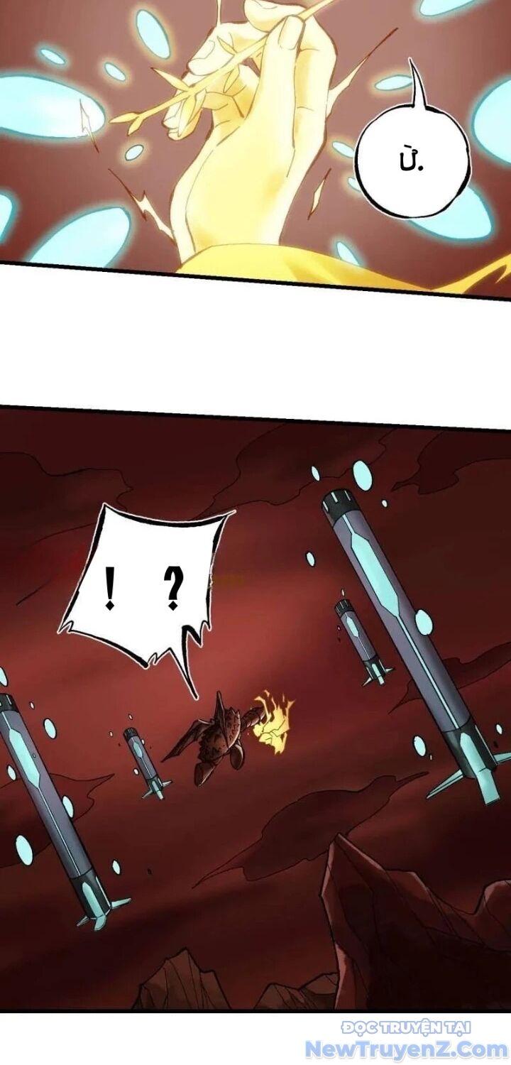 Truyền Võ Chapter 470 - Trang 2