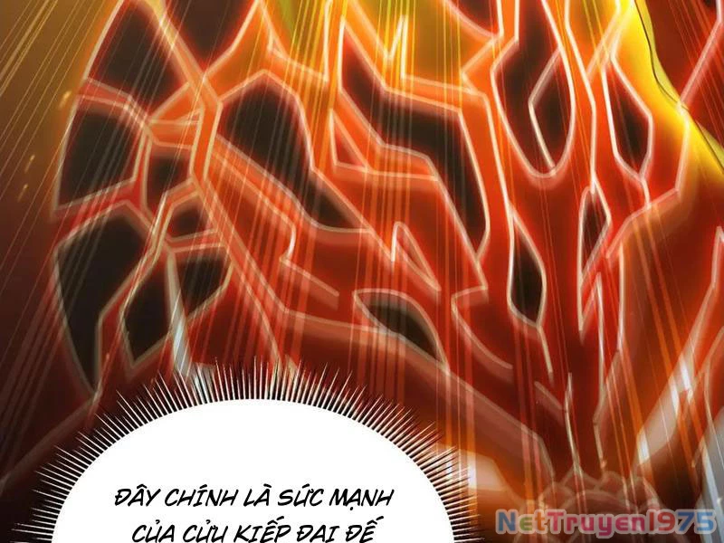 Bắt Đầu Chấn Kinh Nữ Đế Lão Bà, Ta Vô Địch! Chapter 75 - Trang 2