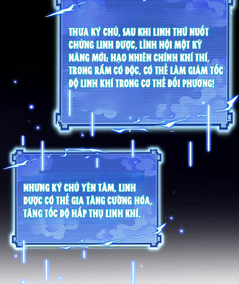 Bắt Đầu Chấn Kinh Nữ Đế Lão Bà, Ta Vô Địch! Chapter 87 - Trang 2