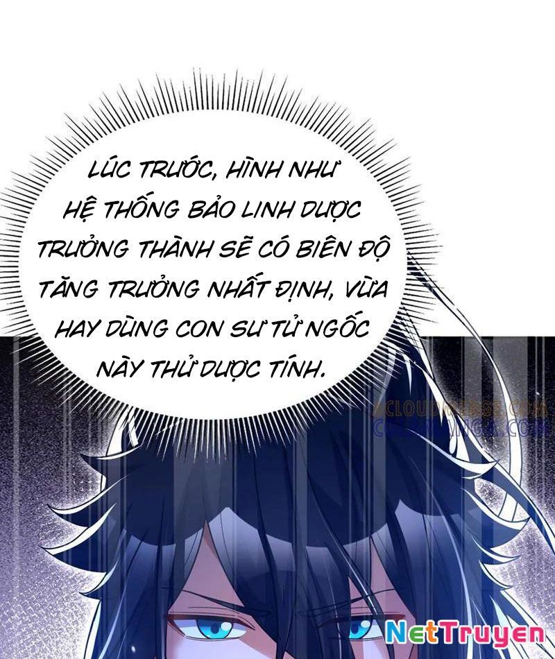 Bắt Đầu Chấn Kinh Nữ Đế Lão Bà, Ta Vô Địch! Chapter 87 - Trang 2