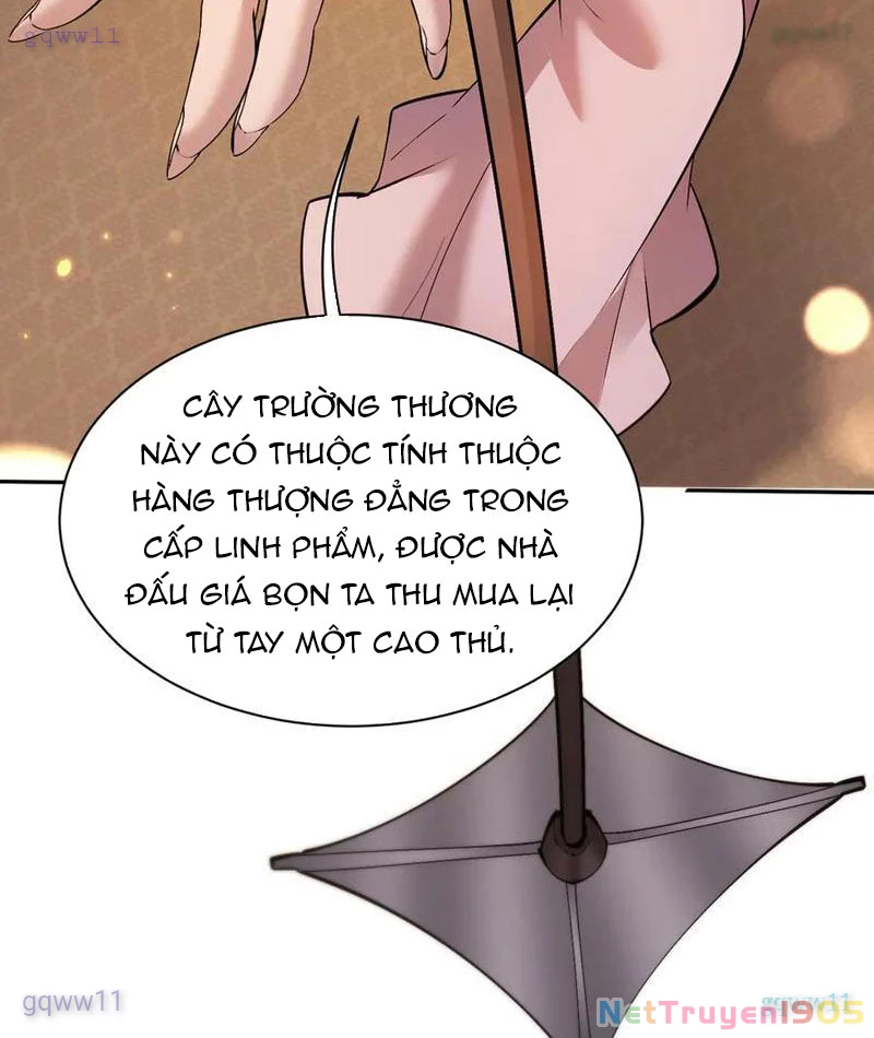 Toàn Chức Kiếm Tu Chapter 62 - Trang 2