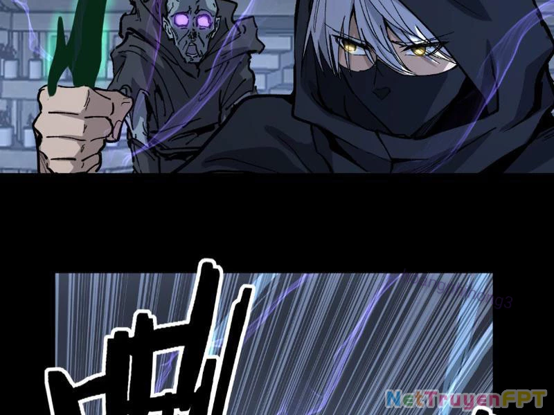 Thích Khách Thần Cấp, Ta Chính Là Bóng Đêm Chapter 11 - Trang 2