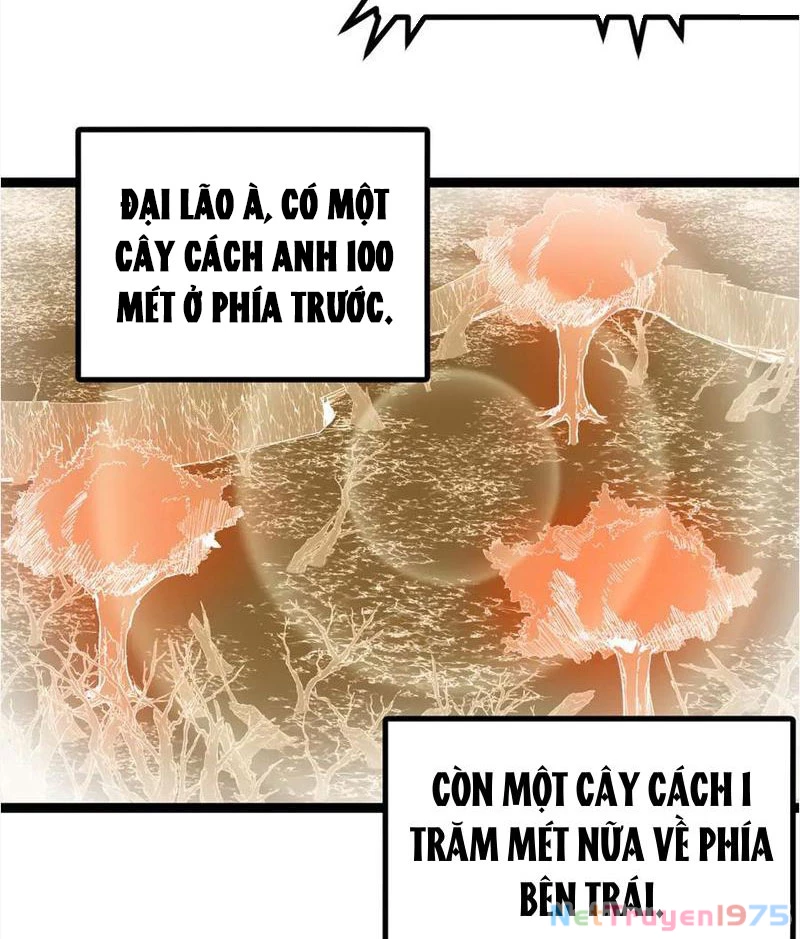 Thích Khách Thần Cấp, Ta Chính Là Bóng Đêm Chapter 16 - Trang 2