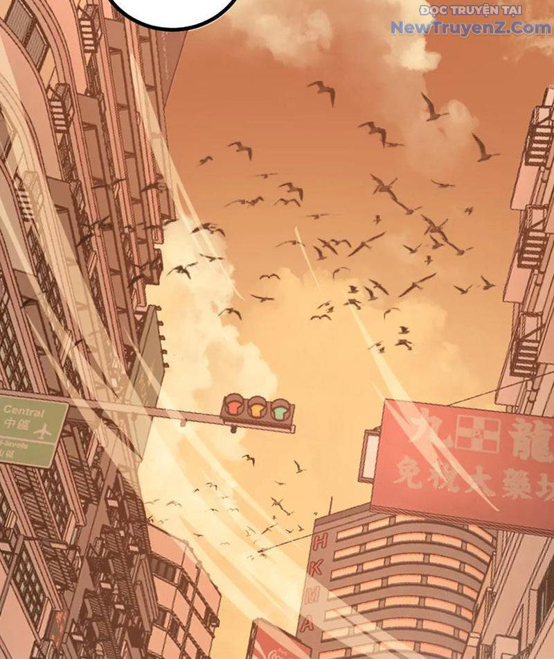 Thích Khách Thần Cấp, Ta Chính Là Bóng Đêm Chapter 20 - Trang 2