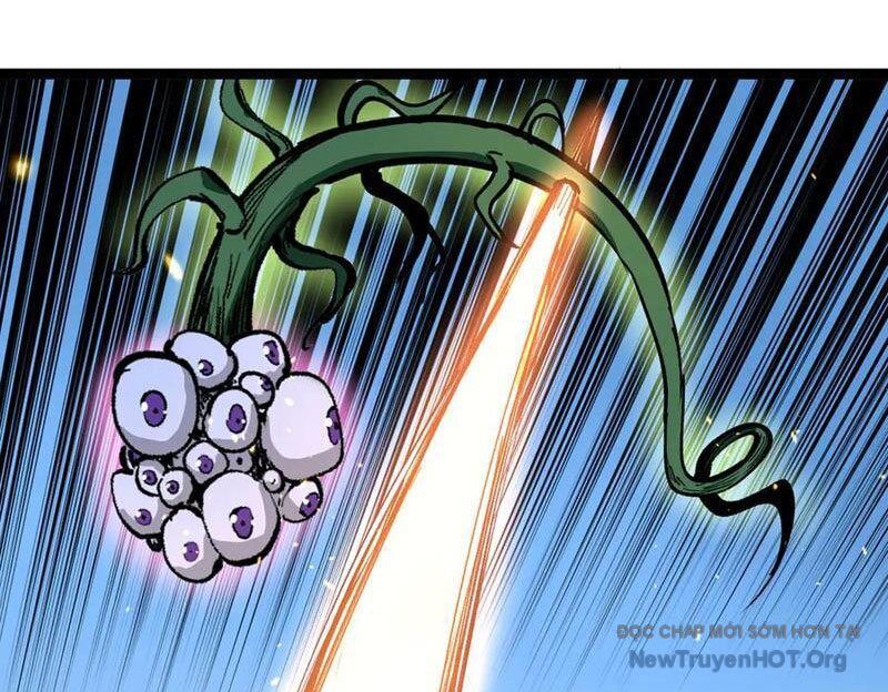 Thích Khách Thần Cấp, Ta Chính Là Bóng Đêm Chapter 32 - Trang 2