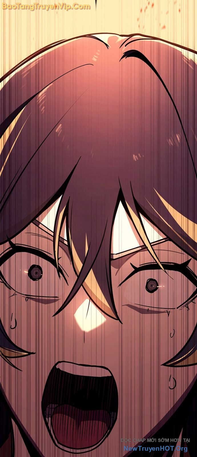 Sự Trở Lại Của Anh Hùng Cấp Thảm Họa Chapter 135 - Trang 2