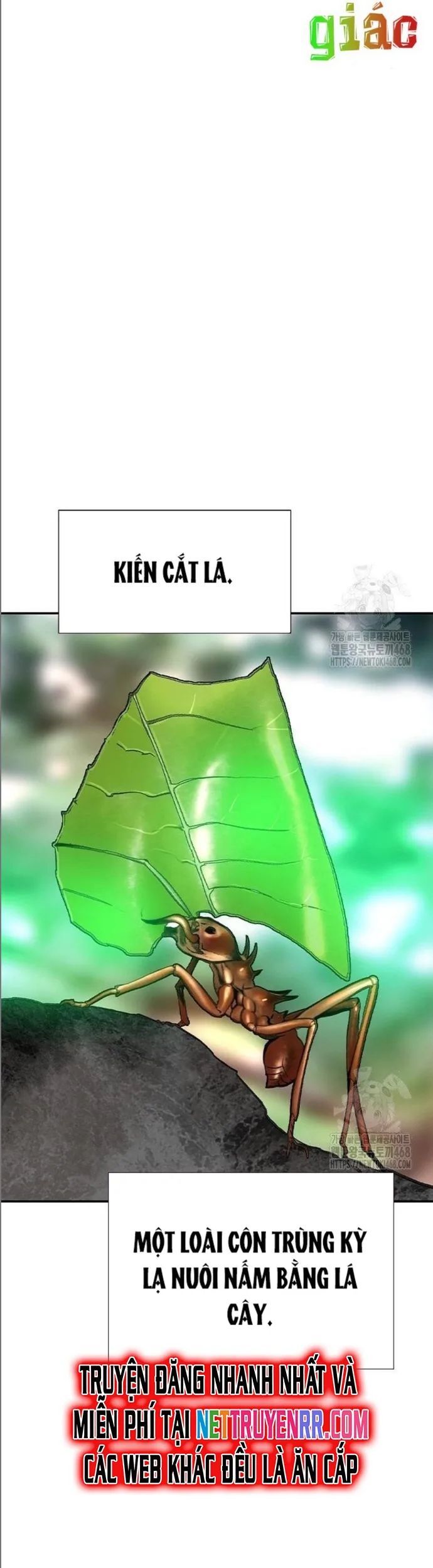 Nhân Trùng Đại Chiến Chapter 149.1 - Trang 2