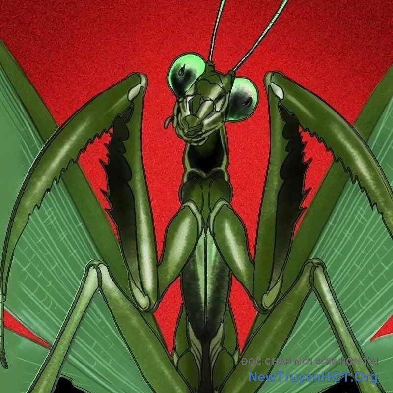 Nhân Trùng Đại Chiến Chapter 165 - Trang 2