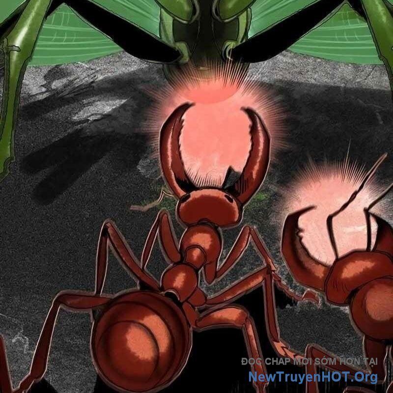 Nhân Trùng Đại Chiến Chapter 165 - Trang 2