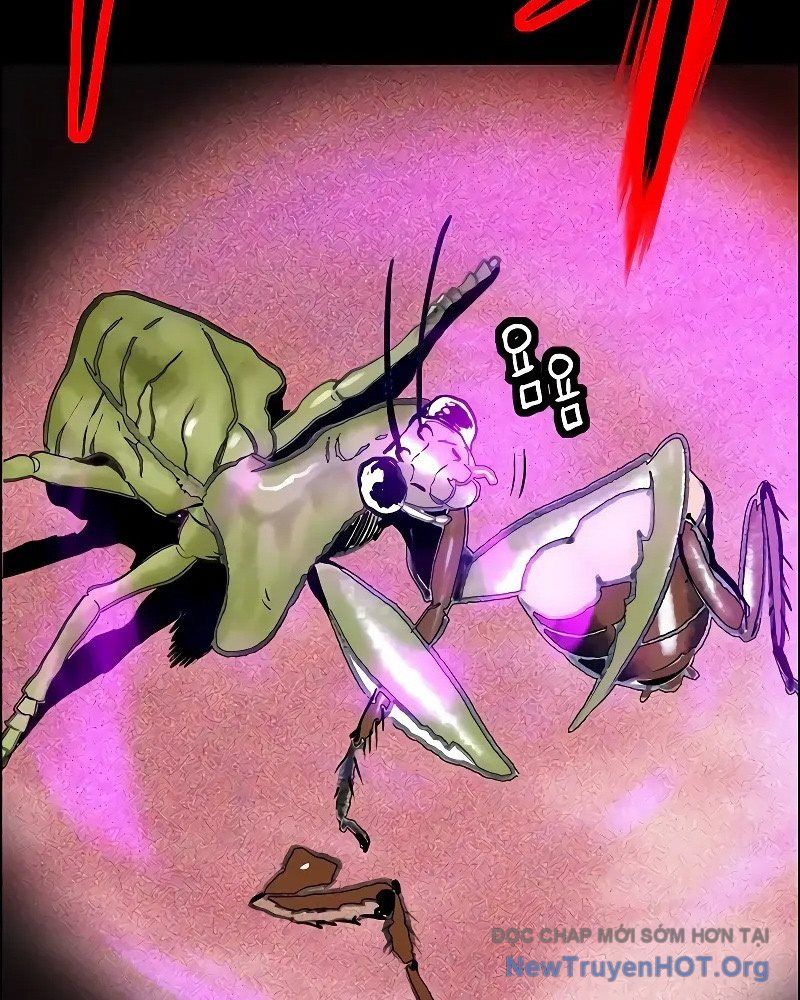 Nhân Trùng Đại Chiến Chapter 173 - Trang 2