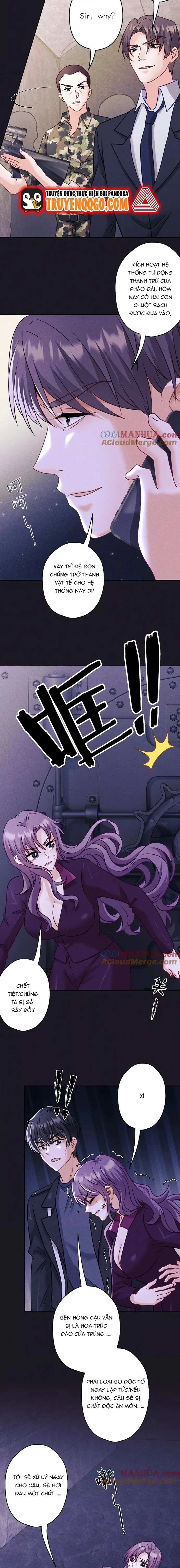 Long Vương Điện: Người Ở Rể Giàu Nhất Chapter 250 - Trang 2