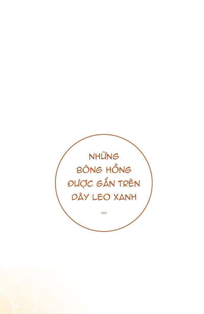 Nữ Đầu Bếp Hoàng Gia Chapter 65 - Trang 2