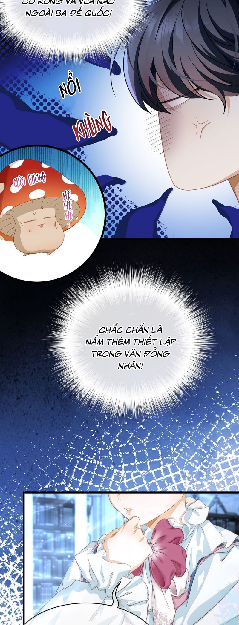 Tôi Trùng Sinh Trở Thành Tiểu Ác Long Của Vương Tử Điện Hạ Chapter 91 - Trang 2