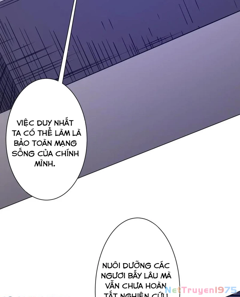 Bắt Đầu Với Trăm Vạn Minh Tệ Chapter 229 - Trang 2