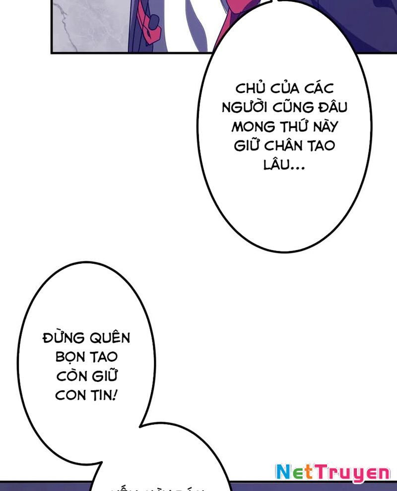 Bắt Đầu Với Trăm Vạn Minh Tệ Chapter 235 - Trang 2