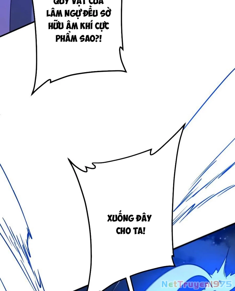 Bắt Đầu Với Trăm Vạn Minh Tệ Chapter 237 - Trang 2