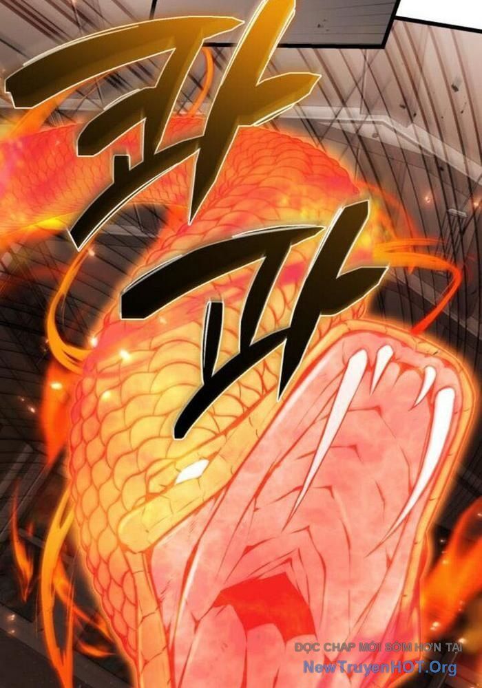 Đa Sắc Ma Pháp Sư Thiên Tài Chapter 39 - Trang 2