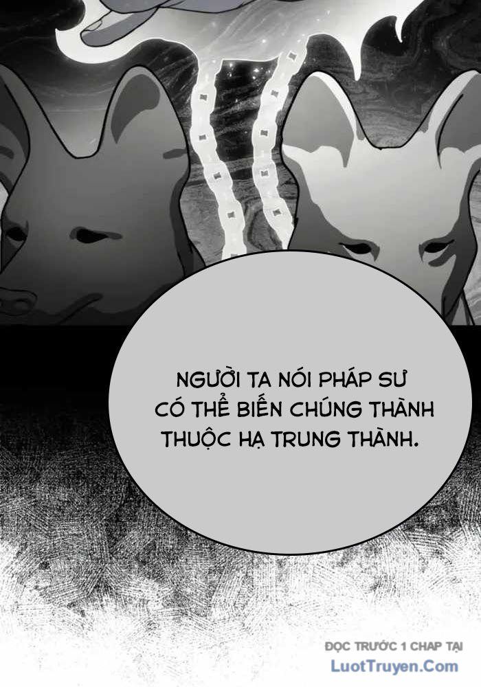 Đa Sắc Ma Pháp Sư Thiên Tài Chapter 52 - Trang 2