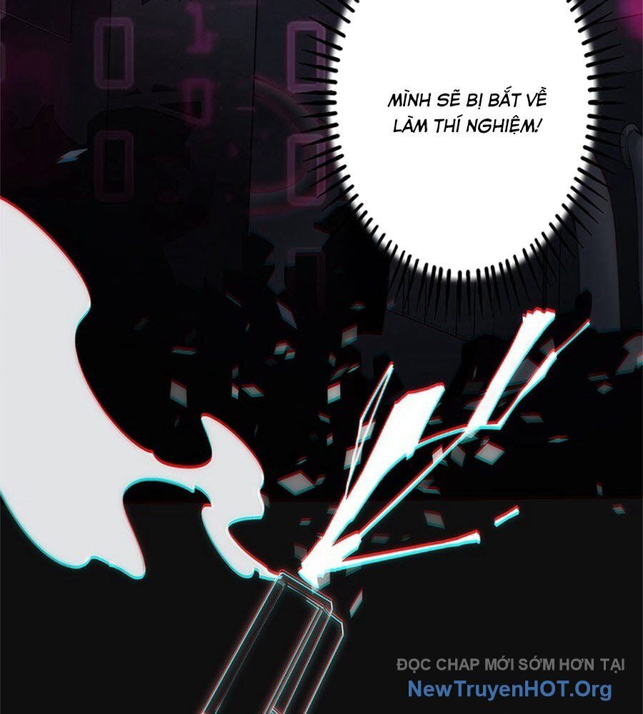 Ranker Sss Được Chọn Chapter 12 - Trang 2