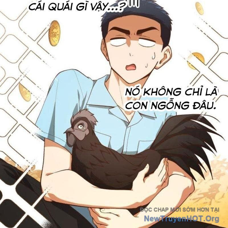 Thiên Tài Bình Dị Chapter 31 - Trang 2