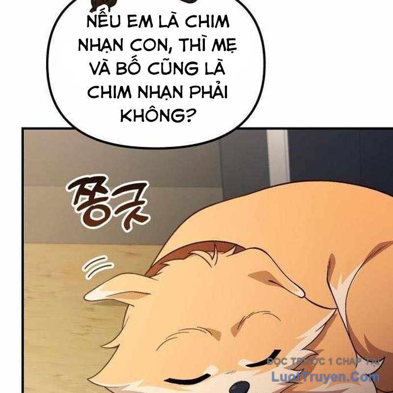 Thiên Tài Bình Dị Chapter 41 - Trang 2