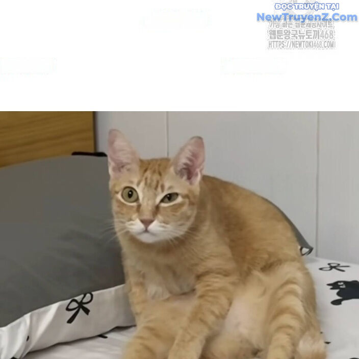 Đại Pháp Sư Mở Nhà Hàng Chapter 77 - Trang 2