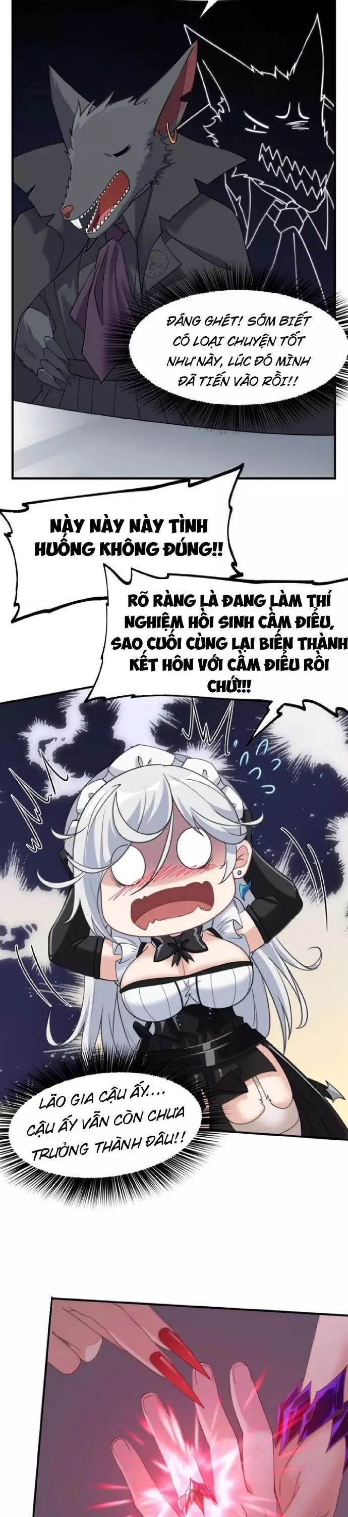 Thuật Sĩ Luyện Kim Tà Ác Không Giải Quyết Được Vật Thí Nghiệm Của Mình Chapter 45 - Trang 2