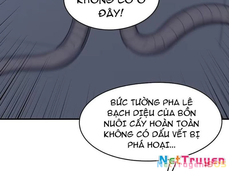 Thuật Sĩ Luyện Kim Tà Ác Không Giải Quyết Được Vật Thí Nghiệm Của Mình Chapter 49 - Trang 2