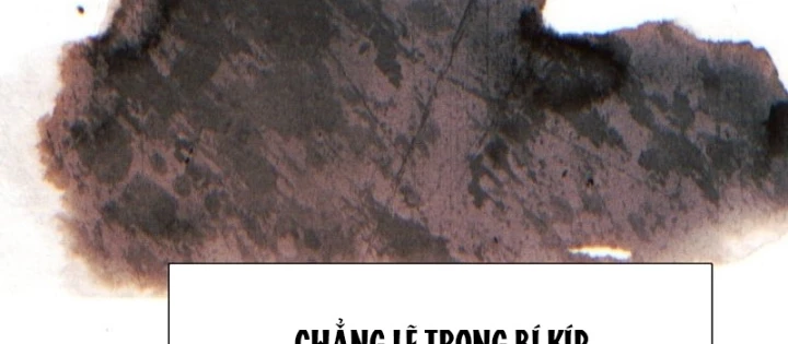 Chuyển Sinh Vào Thế Giới Võ Lâm Chapter 135 - Trang 2