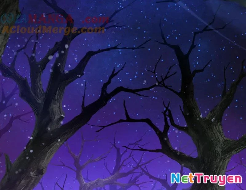 Đại Ái Ma Tôn, Nữ Đồ Đệ Đều Muốn Giết Ta Chapter 69 - Trang 2