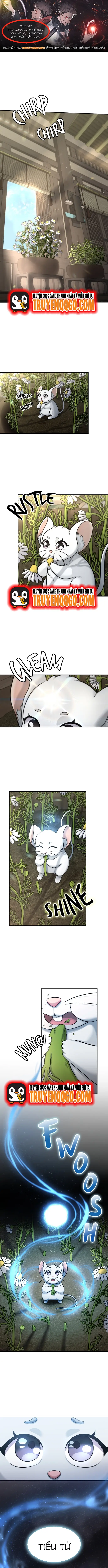 Chân Lý Tu Tiên Chapter 7 - Trang 2