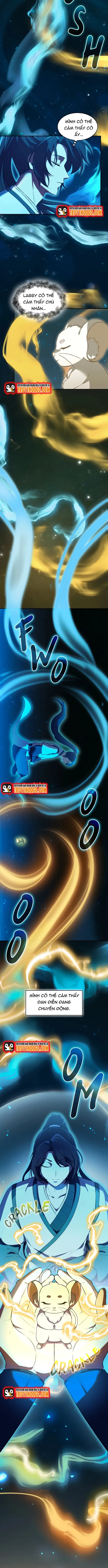 Chân Lý Tu Tiên Chapter 12 - Trang 2