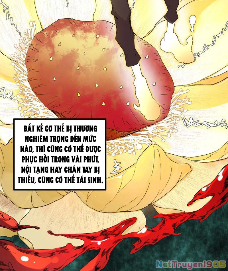 Cấm Chú Sư Mạnh Nhất Lịch Sử Chapter 0 - Trang 2