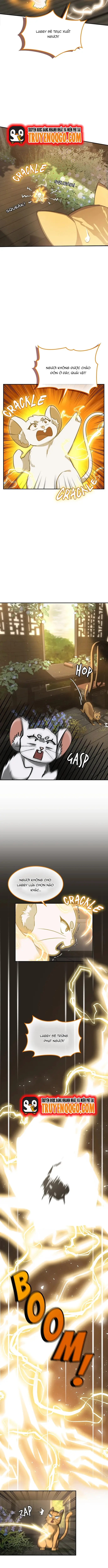 Chân Lý Tu Tiên Chapter 15 - Trang 2