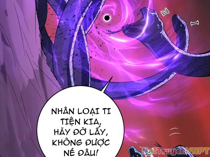 Mạt Nhật Thiên Hạ: Ta, Virus Quân Vương Chapter 58 - Trang 2