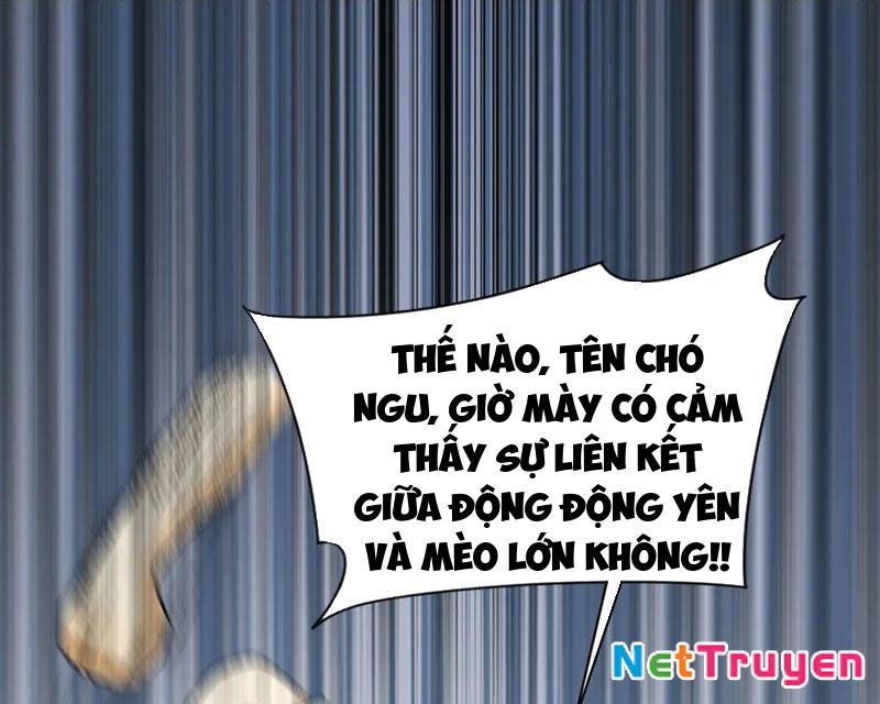 Trước Mặt Bệnh Tâm Thần, Quỷ Dị Chẳng Là Gì Cả Chapter 156 - Trang 2