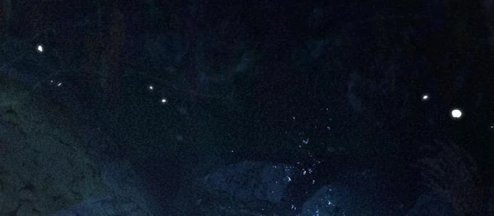 Chuyển Sinh Thành Goblin Chapter 56 - Trang 2