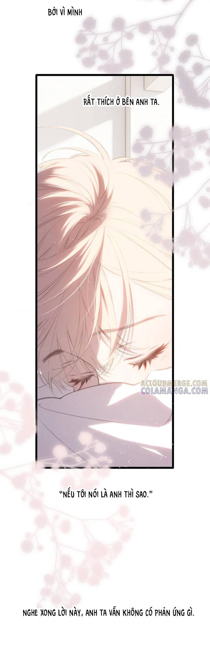 Ngược Dòng Về Mùa Xuân Chapter 51 - Trang 2