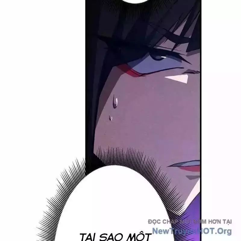 Anh Hùng Tái Xuất Học Viện Chapter 16.5 - Trang 2
