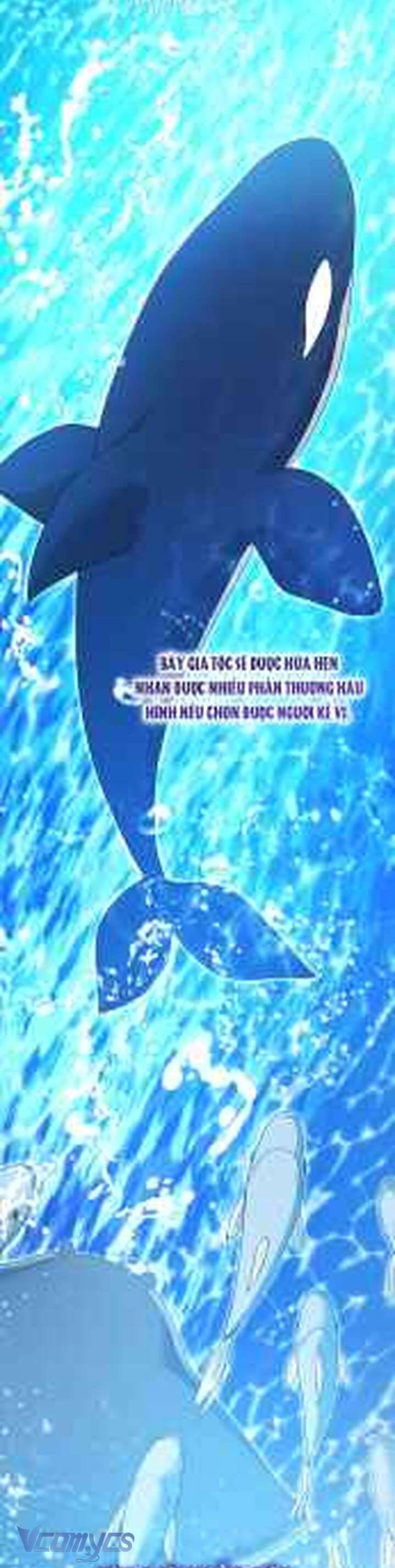 Bé Con Cá Voi Sát Thủ Chapter 62 - Trang 2