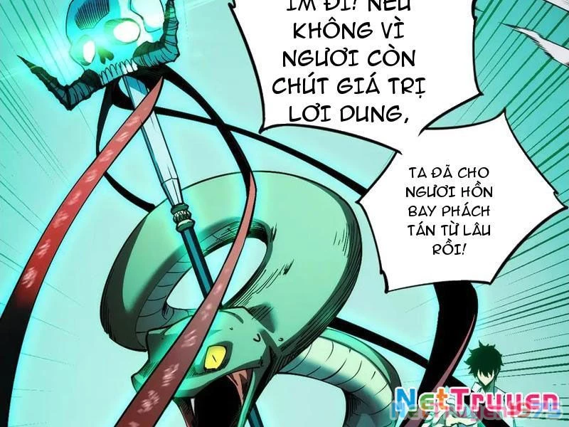 Mạt Thế: Nhân Hoàng Phiên Mời Chư Vị Nữ Đồ Đệ Nhập Tọa Chapter 10 - Trang 2
