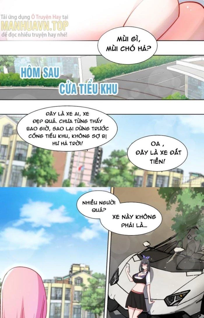 Trọng Sinh Thành Chó Của Nữ Thần Chapter 206 - Trang 2