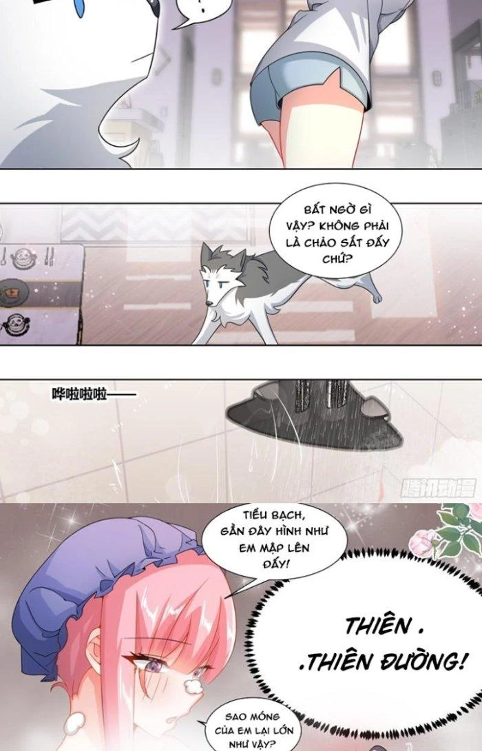 Trọng Sinh Thành Chó Của Nữ Thần Chapter 219 - Trang 2