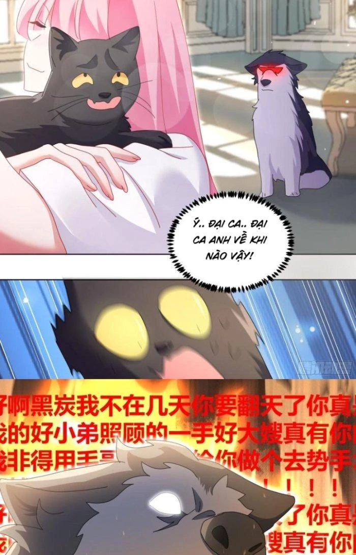 Trọng Sinh Thành Chó Của Nữ Thần Chapter 280 - Trang 2